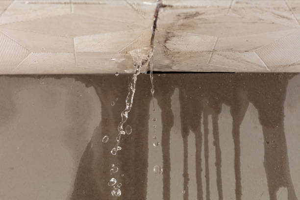 Professional Water Damage Inspection technician working in Silver City, NM